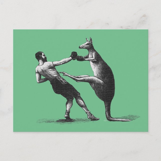 Vintage Boxing kangaroo Postcard (Front)