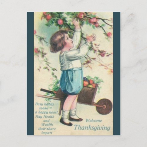 Vintage Boy Picking Apples Thanksgiving Postcard