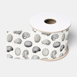 Vintage Brain Anatomy Biology Illustrations Grosgrain Ribbon
