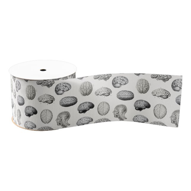 Vintage Brain Anatomy Biology Illustrations Grosgrain Ribbon (Spool)