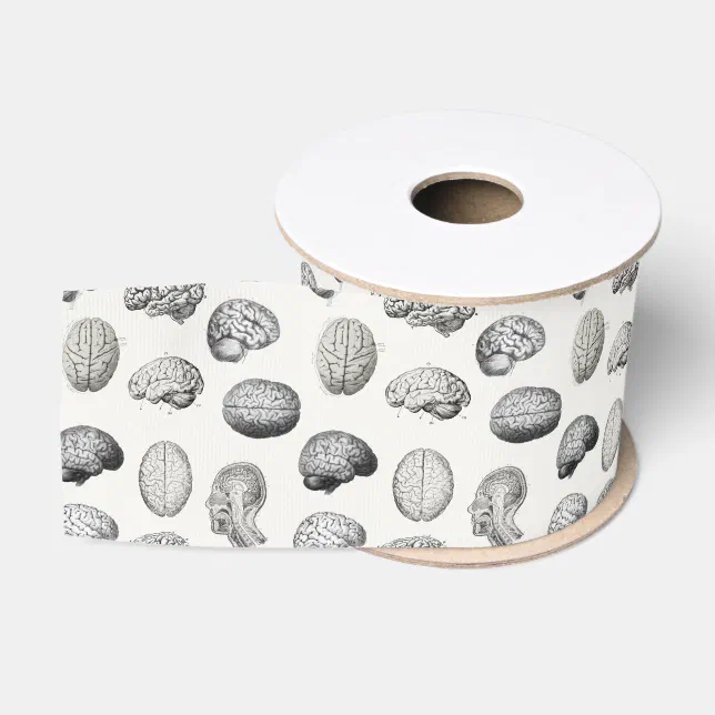 Brain Print Ribbon Vintage Brain Anatomy Biology Illustrations Grosgrain Ribbon | Zazzle