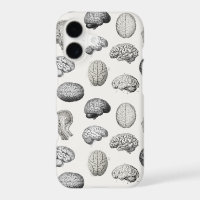 Vintage Brain Anatomy Biology Illustrations