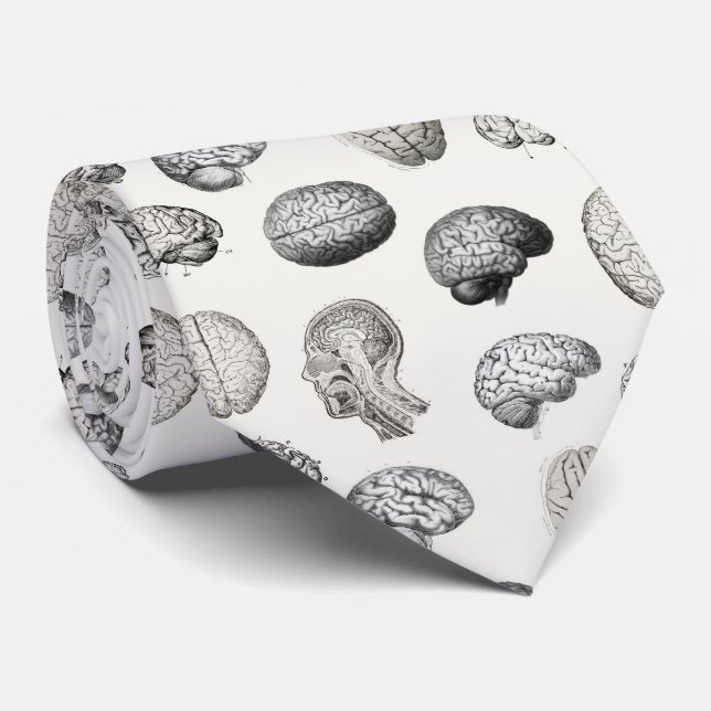 Vintage Brain Anatomy Biology Illustrations Neck Tie (Rolled)