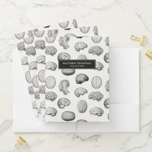 Vintage Brain Anatomy Biology Illustrations Pocket Folder | Zazzle
