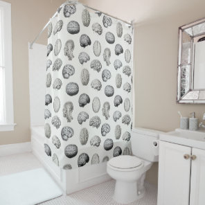 Vintage Brain Anatomy Biology Illustrations Shower Curtain