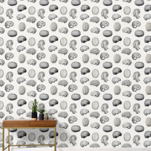 Vintage Brain Anatomy Biology Illustrations Wallpaper