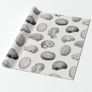Vintage Brain Anatomy Biology Illustrations Wrapping Paper