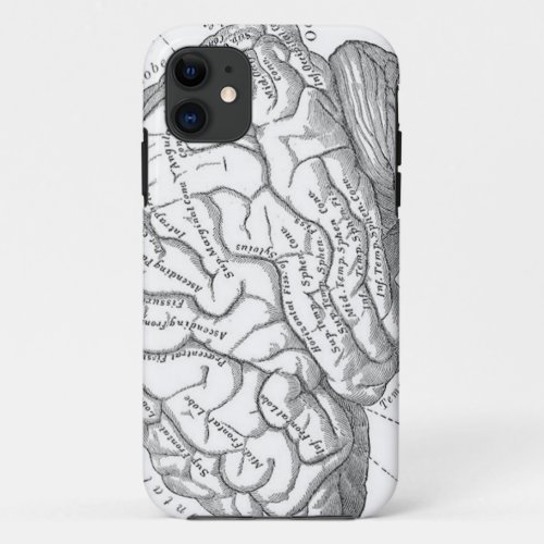 Vintage Brain Anatomy iPhone 11 Case