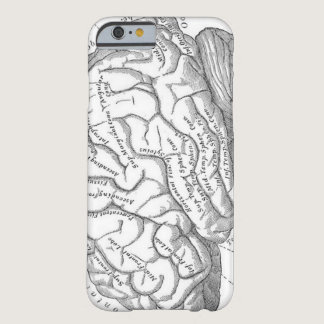 Vintage Brain Anatomy Barely There iPhone 6 Case
