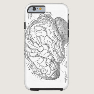 Vintage Brain Anatomy Tough iPhone 6 Case