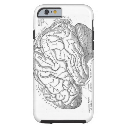 Vintage Brain Anatomy Tough iPhone 6 Case