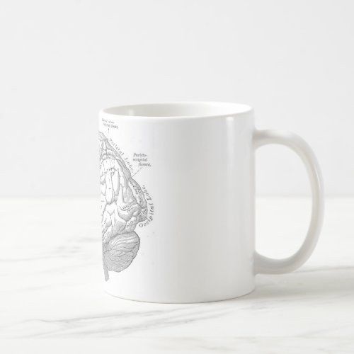 Vintage Brain Anatomy Coffee Mug