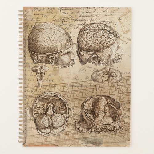 Vintage Brain Anatomy Distressed Collage Art Planner
