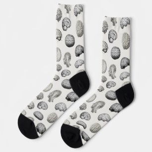 Vintage Brain Anatomy Illustrations Socks