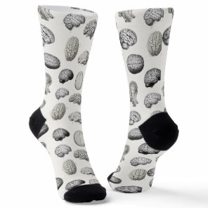 Vintage Brain Anatomy Illustrations Socks