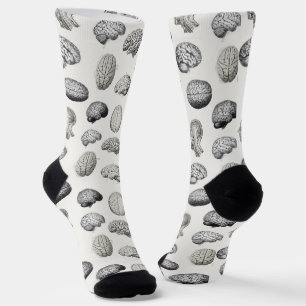 Vintage Brain Anatomy Illustrations Socks