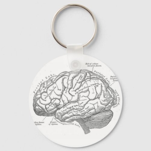 Vintage Brain Anatomy Keychain