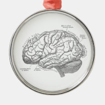 Vintage Brain Anatomy Metal Ornament