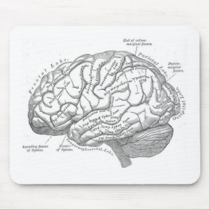 Vintage Brain Anatomy Mouse Pad