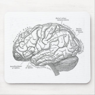 Vintage Brain Anatomy Mouse Pad