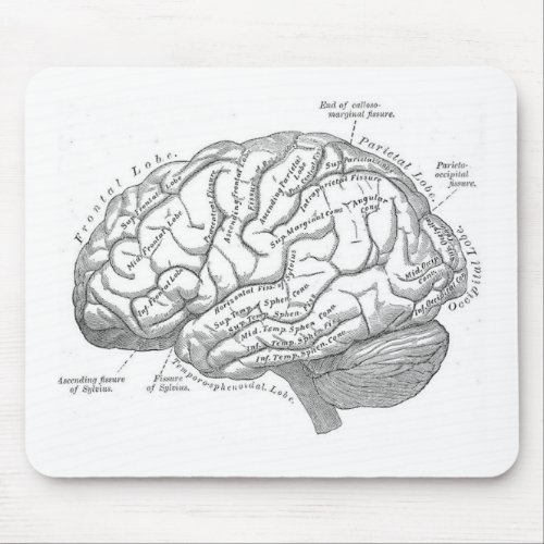 Vintage Brain Anatomy Mouse Pad