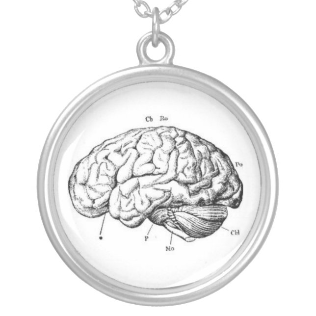 Vintage Brain Anatomy Silver Plated Necklace (Front)