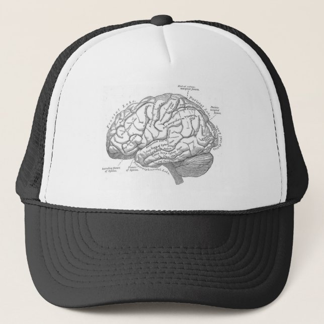 Vintage Brain Anatomy Trucker Hat (Front)