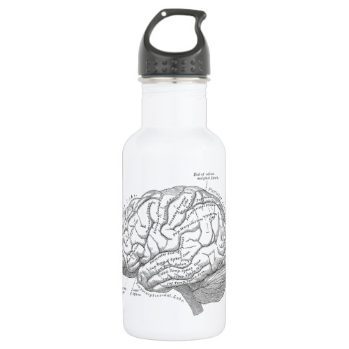 Vintage Brain Anatomy Water Bottle