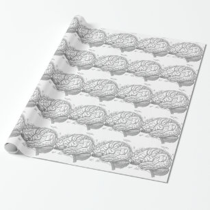 Vintage Brain Anatomy Wrapping Paper
