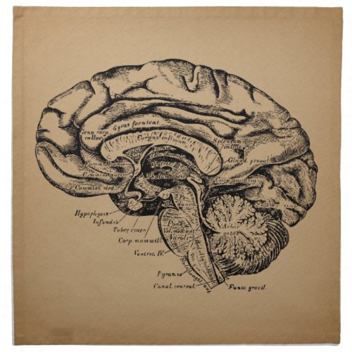 Vintage Brain Diagram Antique Medical Anatomy Art Cloth Napkin