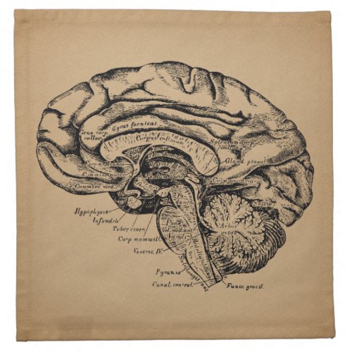 Vintage Brain Diagram Antique Medical Anatomy Art Cloth Napkin