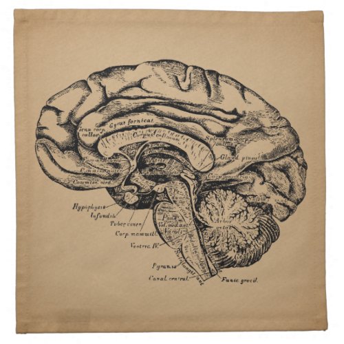 Vintage Brain Diagram Antique Medical Anatomy Art Cloth Napkin