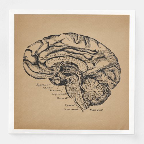 Vintage Brain Diagram Antique Medical Anatomy Art Paper Dinner Napkins