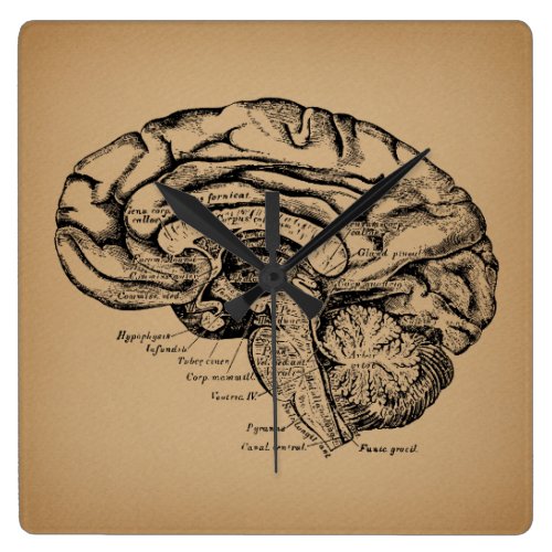 Vintage Brain Diagram Antique Medical Anatomy Art Square Wall Clock