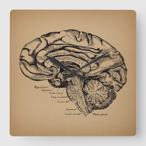Vintage Brain Diagram Antique Medical Anatomy Art Square Wall Clock