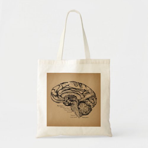 Vintage Brain Diagram Antique Medical Anatomy Art Tote Bag
