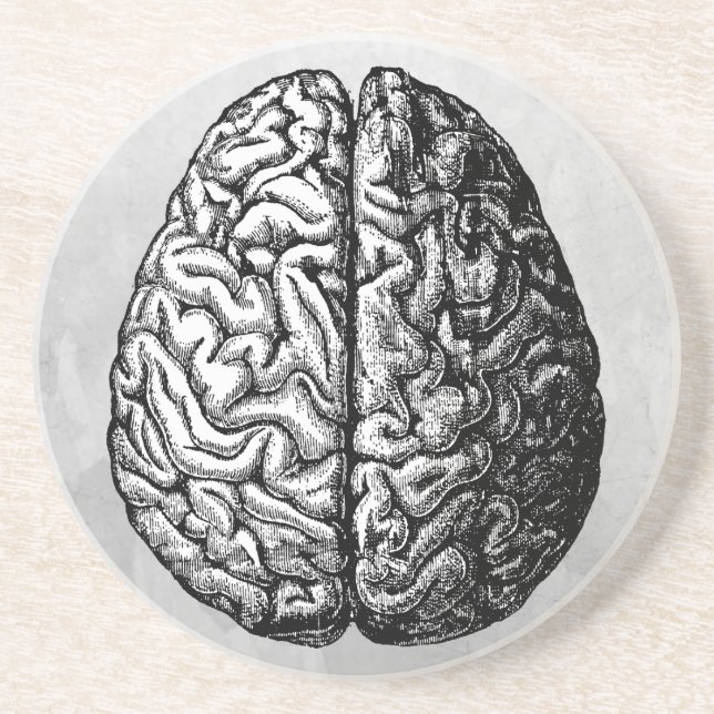 VINTAGE BRAIN DRAWING SANDSTONE COASTER (Front)
