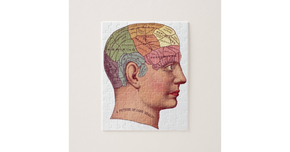 Vintage Brain Function Illustration Jigsaw Puzzle Zazzle