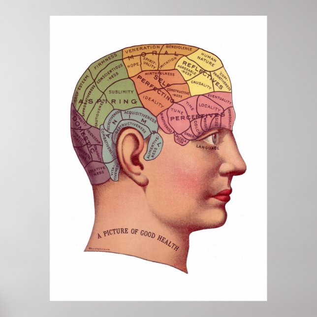 Vintage Brain Function Illustration Poster (Front)