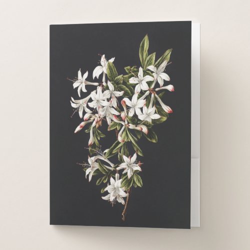Vintage Branch of White Azaleas in Bloom Pocket Folder