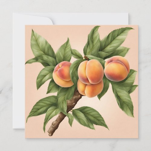 Vintage Branch with Peach Fruit Illustration  Card