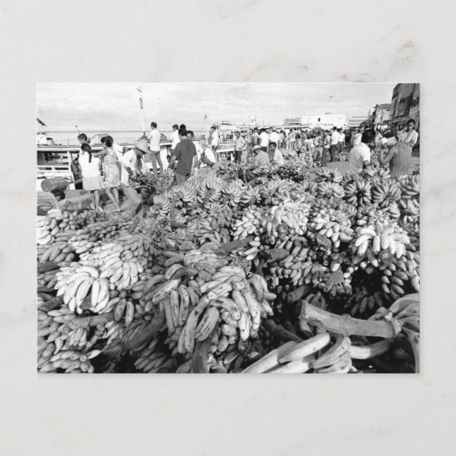 Vintage Brazil Manaus River Market Postcard (Front)