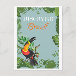 Vintage Brazil Toucan Rainforest Travel Postcard