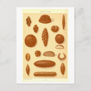 Vintage Breads of Austria Postcard