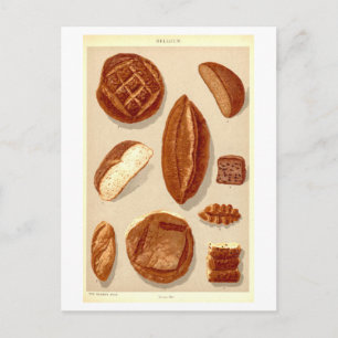 Vintage Breads of Belgium Postcard