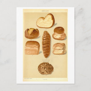 Vintage Breads of England Postcard