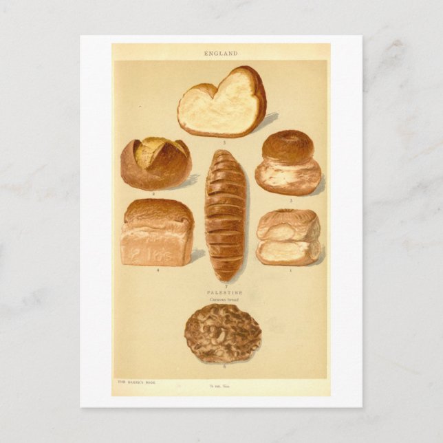 Vintage Breads of England Postcard (Front)