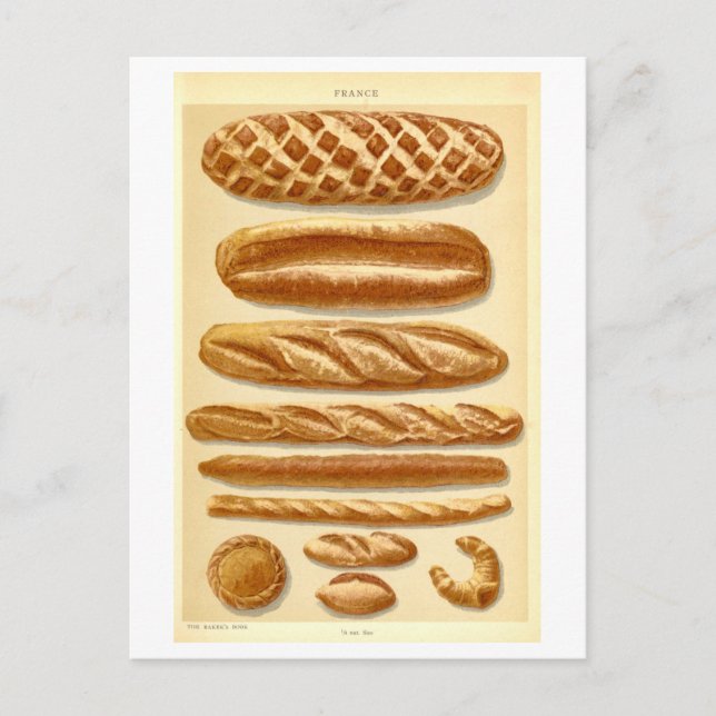 Vintage Breads of France #2 Postcard (Front)