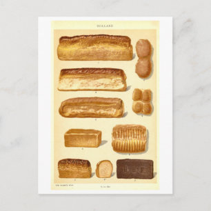 Vintage Breads of Holland Postcard