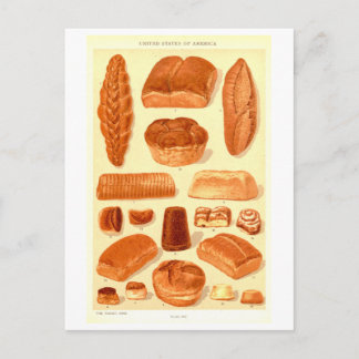 Vintage Breads of the USA Postcard